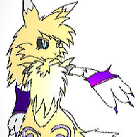 2009 2009